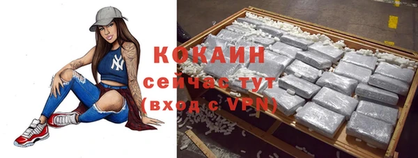 молекула духа Горнозаводск