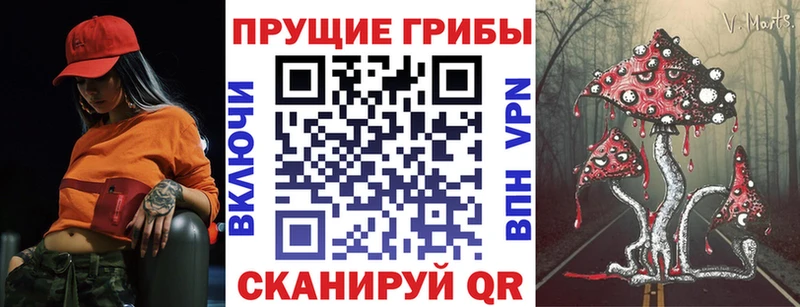 Псилоцибиновые грибы GOLDEN TEACHER продажа наркотиков Демидов